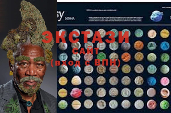 стафф Ростов