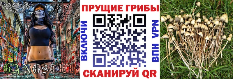 купить   ОМГ ОМГ как войти  Галлюциногенные грибы MAGIC MUSHROOMS  Калач 